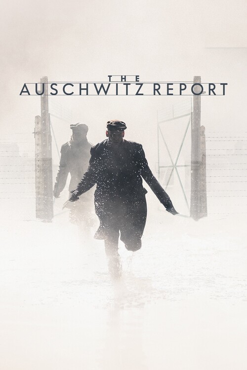 Плакат The Auschwitz Report (2021)