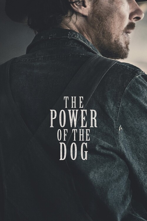 Плакат The Power of the Dog (2021)