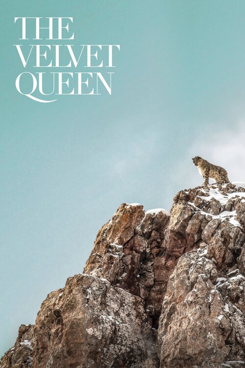 Плакат The Velvet Queen (2021)