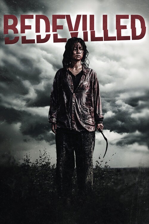 Плакат Bedevilled (2010)