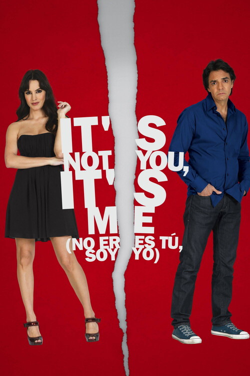 Плакат It_s Not You, It_s Me (2010)