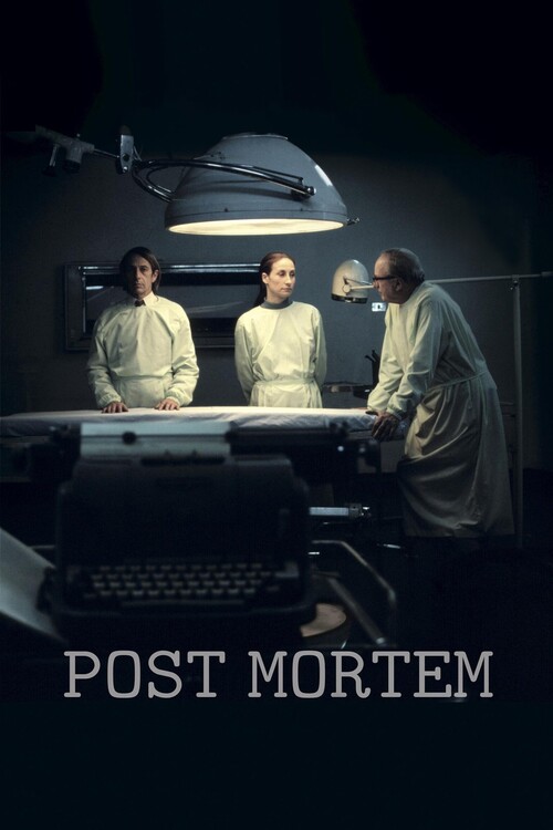 Плакат Post Mortem (2010)