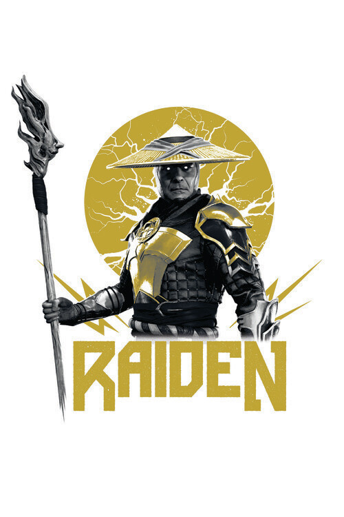 Quadro su tela Mortal Kombat - Raiden