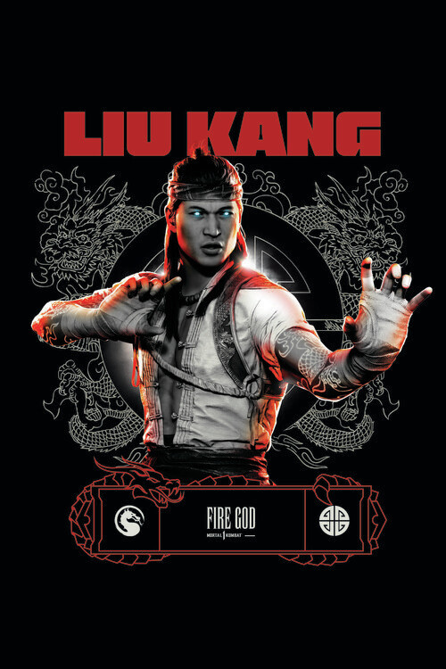 Quadro su tela Mortal Kombat - Liu Kang