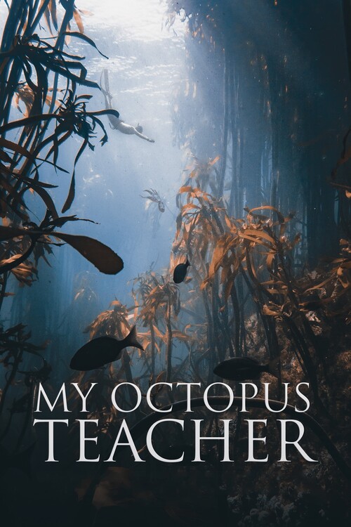 Αφίσα My Octopus Teacher (2020)