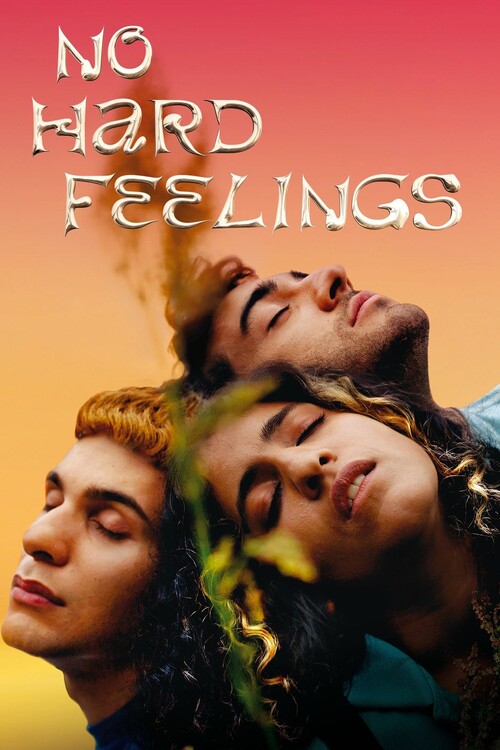 Poster No Hard Feelings (2020)