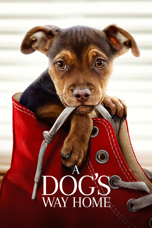 Αφίσα A Dog_s Way Home (2019)