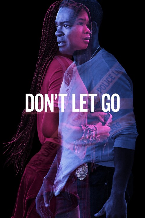 Αφίσα Don_t Let Go (2019)