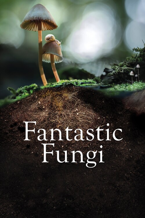 Αφίσα Fantastic Fungi (2019)