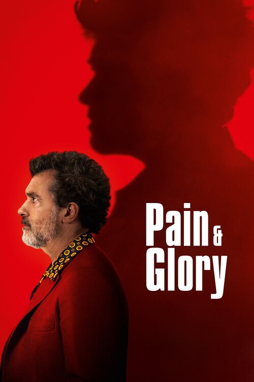 Αφίσα Pain and Glory (2019)