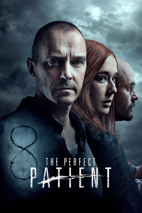 Αφίσα The Perfect Patient (2019)