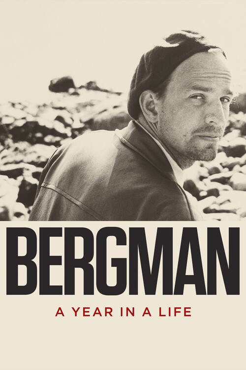 Плакат Bergman A Year in a Life (2018)