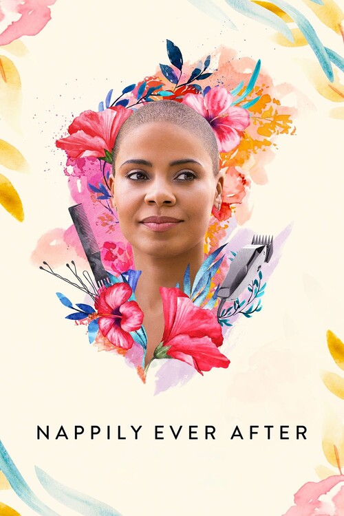 Αφίσα Nappily Ever After (2018)