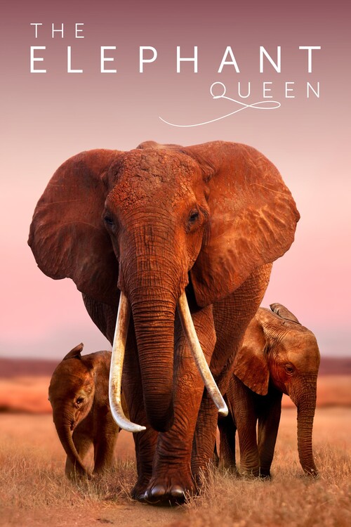 Poster The Elephant Queen (2019)