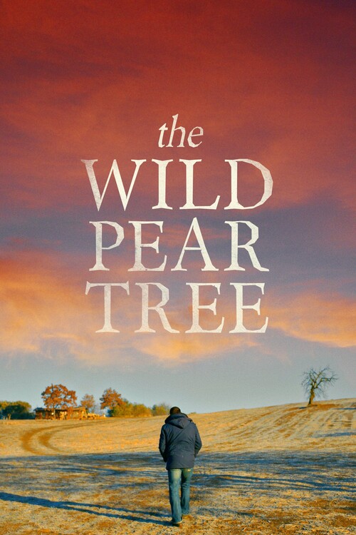 Αφίσα The Wild Pear Tree (2018)