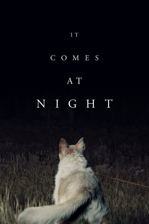 Αφίσα It Comes at Night (2017)