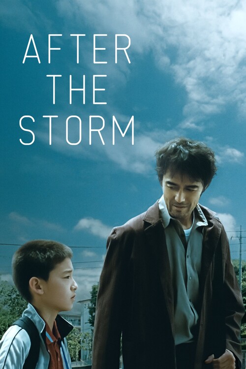 Αφίσα After the Storm (2016)