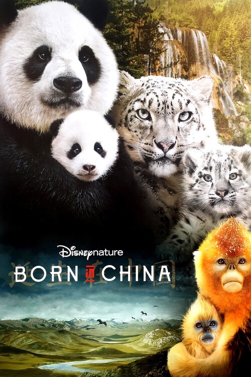 Αφίσα Born in China (2016)