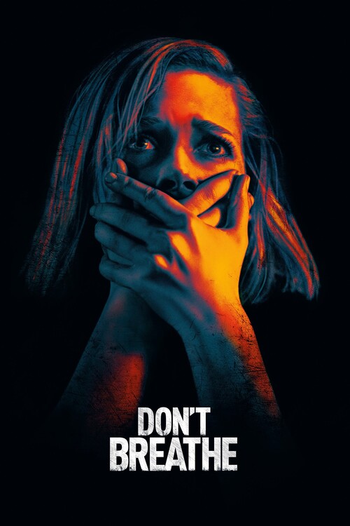 Poster Don_t Breathe (2016)
