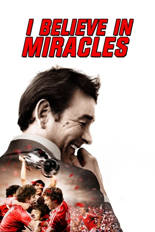 Αφίσα I Believe in Miracles (2015)