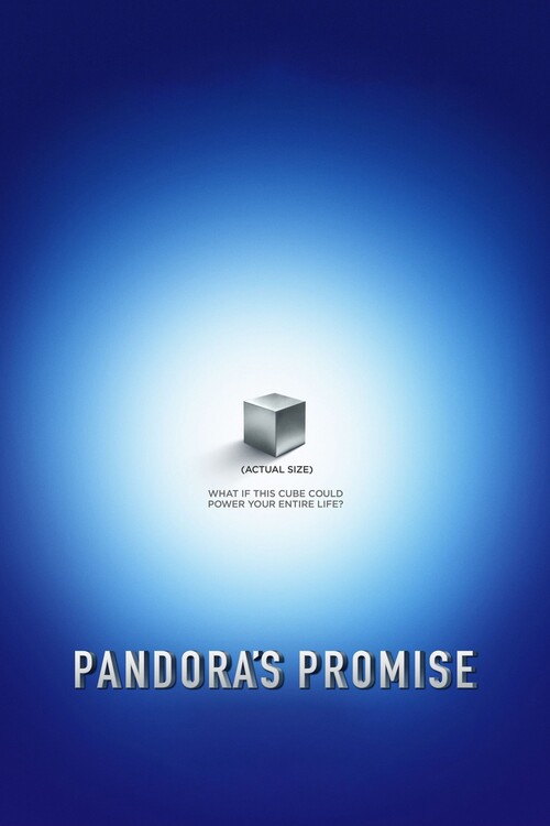 Poster Pandora_s Promise (2013)