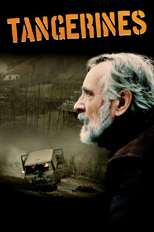 Poster Tangerines (2013)