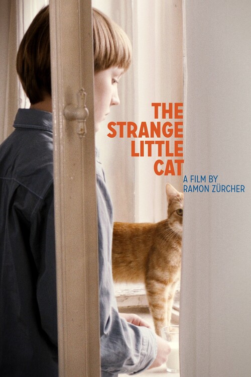Poster The Strange Little Cat (2013)