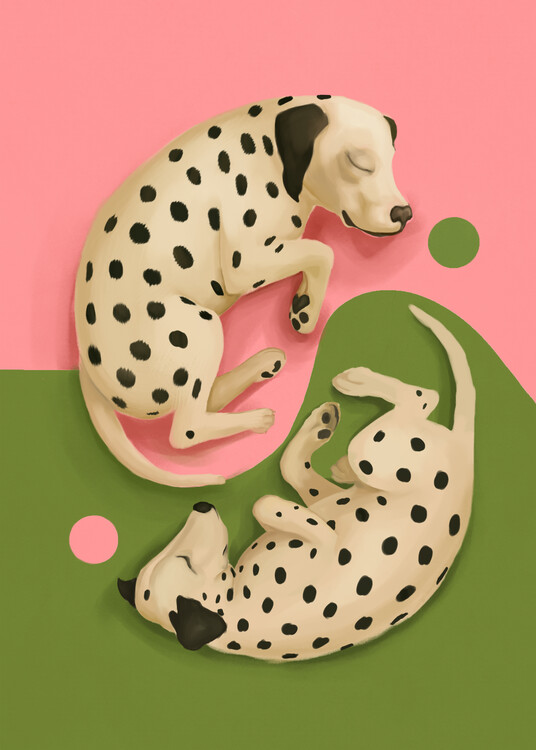 Poster Peaceful Dalmatians Yin Yang