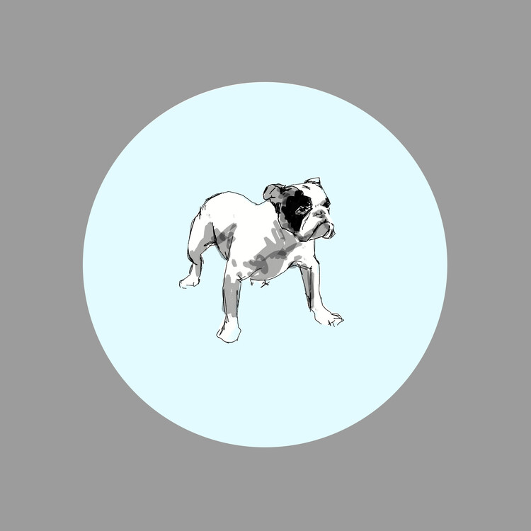 Poster Playful Bulldog Sketch