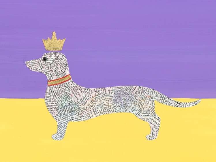 Poster Regal Dachshund Tale
