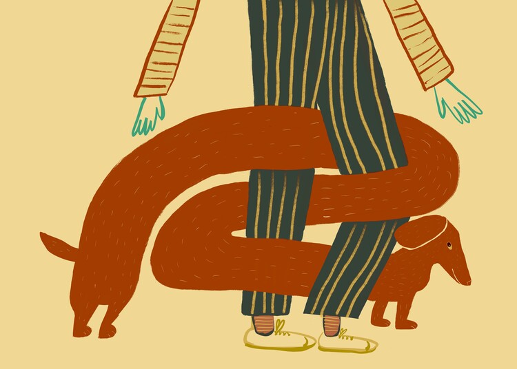 Poster Long Dachshund Embrace