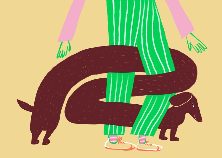 Poster Tangled Dachshund Legs
