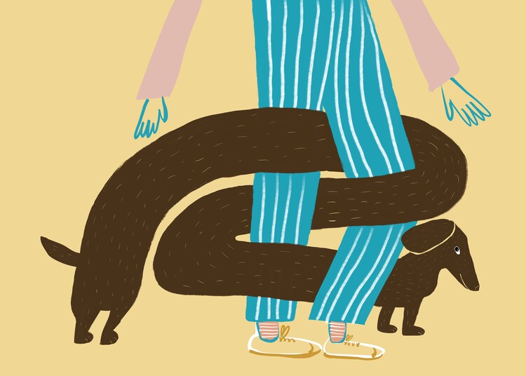 Poster Dachshund Hug Legs