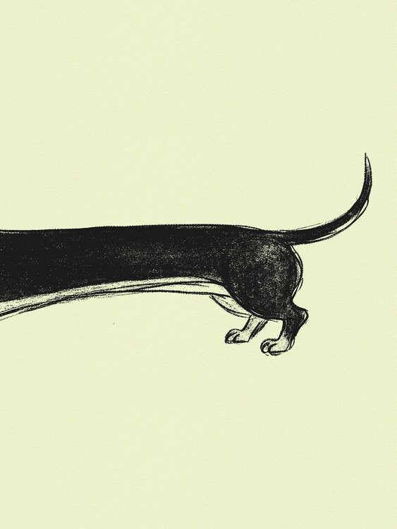 Poster Whimsical Sausage Dog
