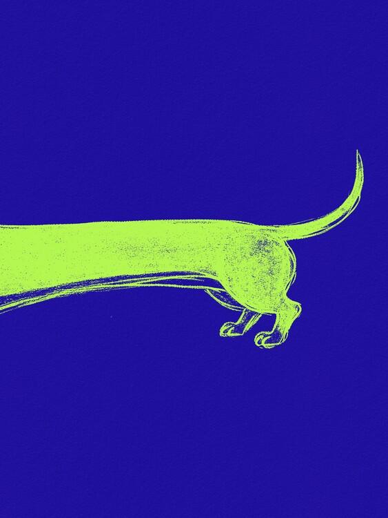Poster Long Yellow Dachshund