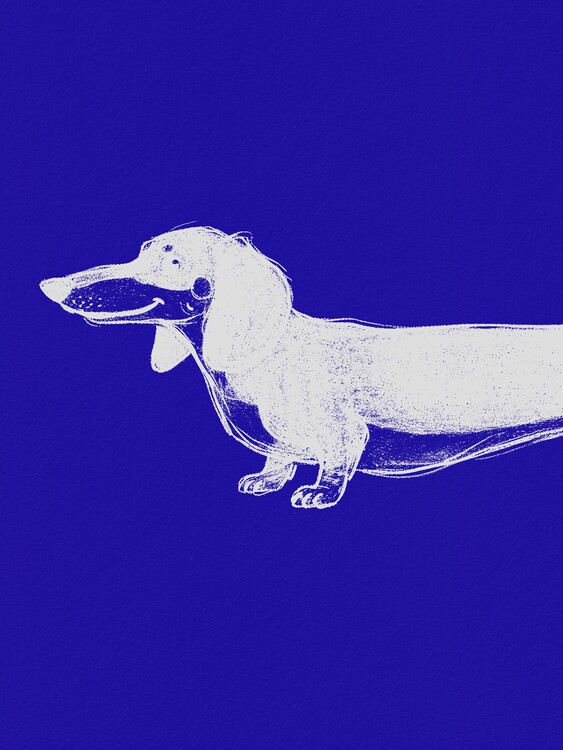 Poster Blue Dachshund Illustration