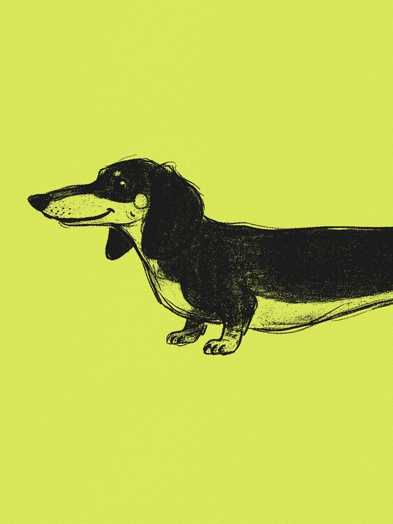 Poster Happy Black Dachshund