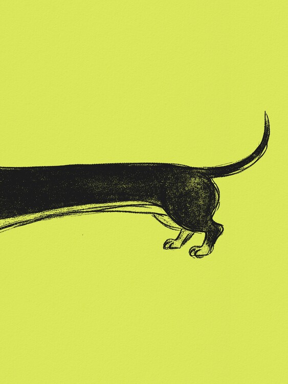 Poster Long Black Dachshund