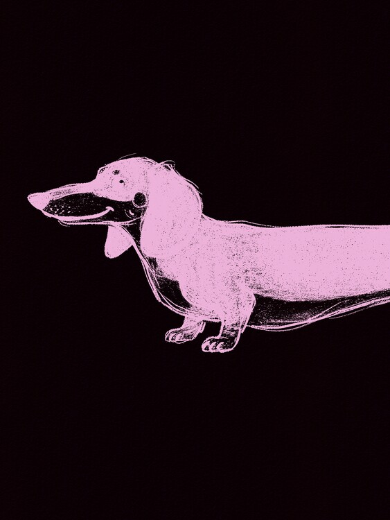 Poster Pink Dachshund Profile