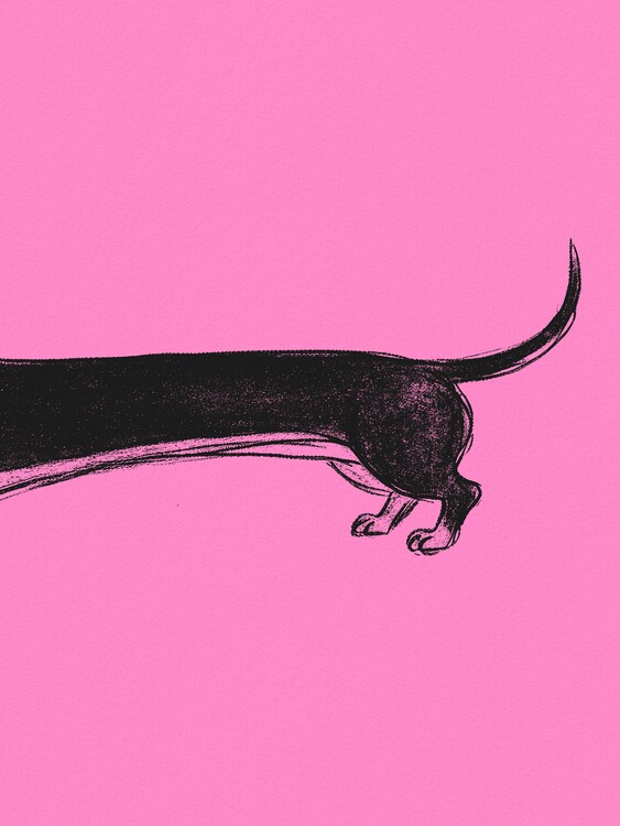Poster Long Black Dachshund