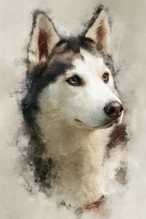 Poster Watercolor Husky Portrait