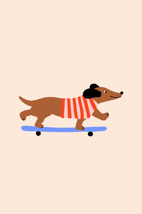 Poster Skateboarding Dachshund Dog