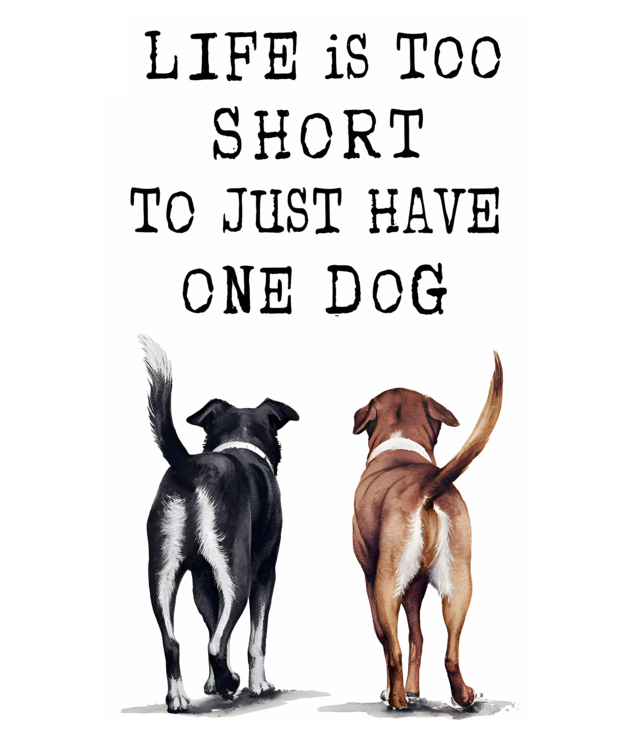 Tričko Life is too short to just have one dog