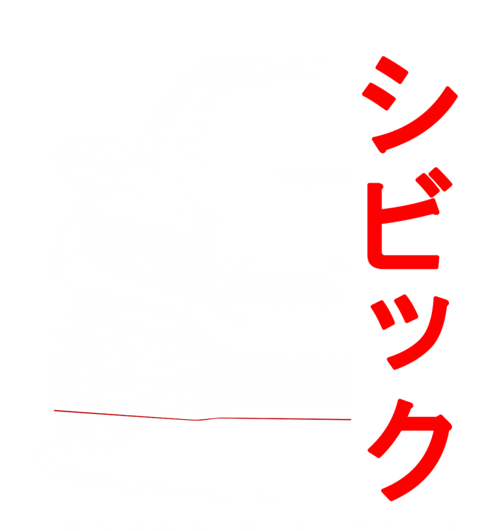 Camiseta Honda Civic Type R – JDM ikona