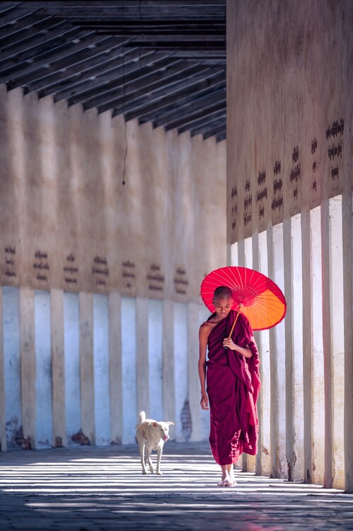 Poster Monk with Red Umbrella