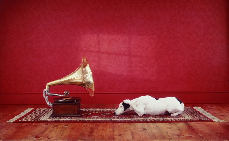 Poster Vintage Dog Gramophone