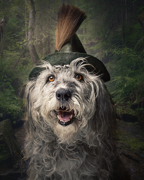 Plakat Whimsical Forest Dog