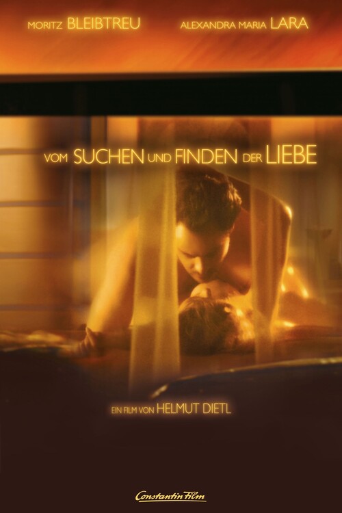 Плакат About the Looking for and the Finding of Love (2005)