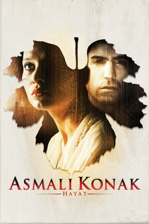 Obraz na plátně Asmalı Konak Hayat (2003)