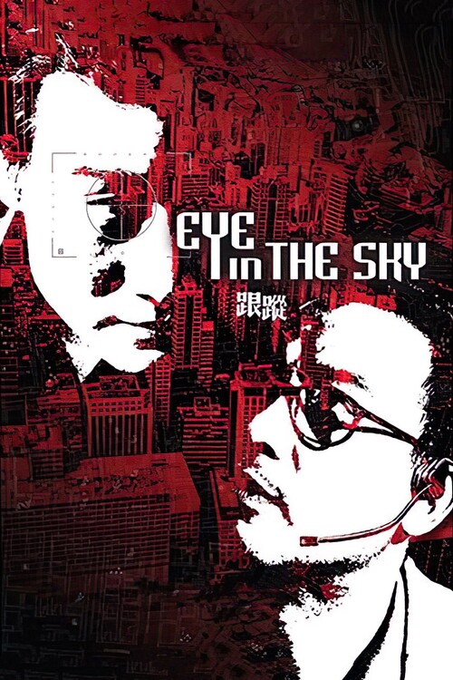 Plakat Eye in the Sky (2007)